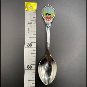 Great smoky mountain collectible spoon